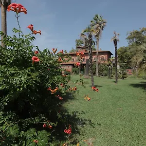 Piaggetta Bed & Breakfast